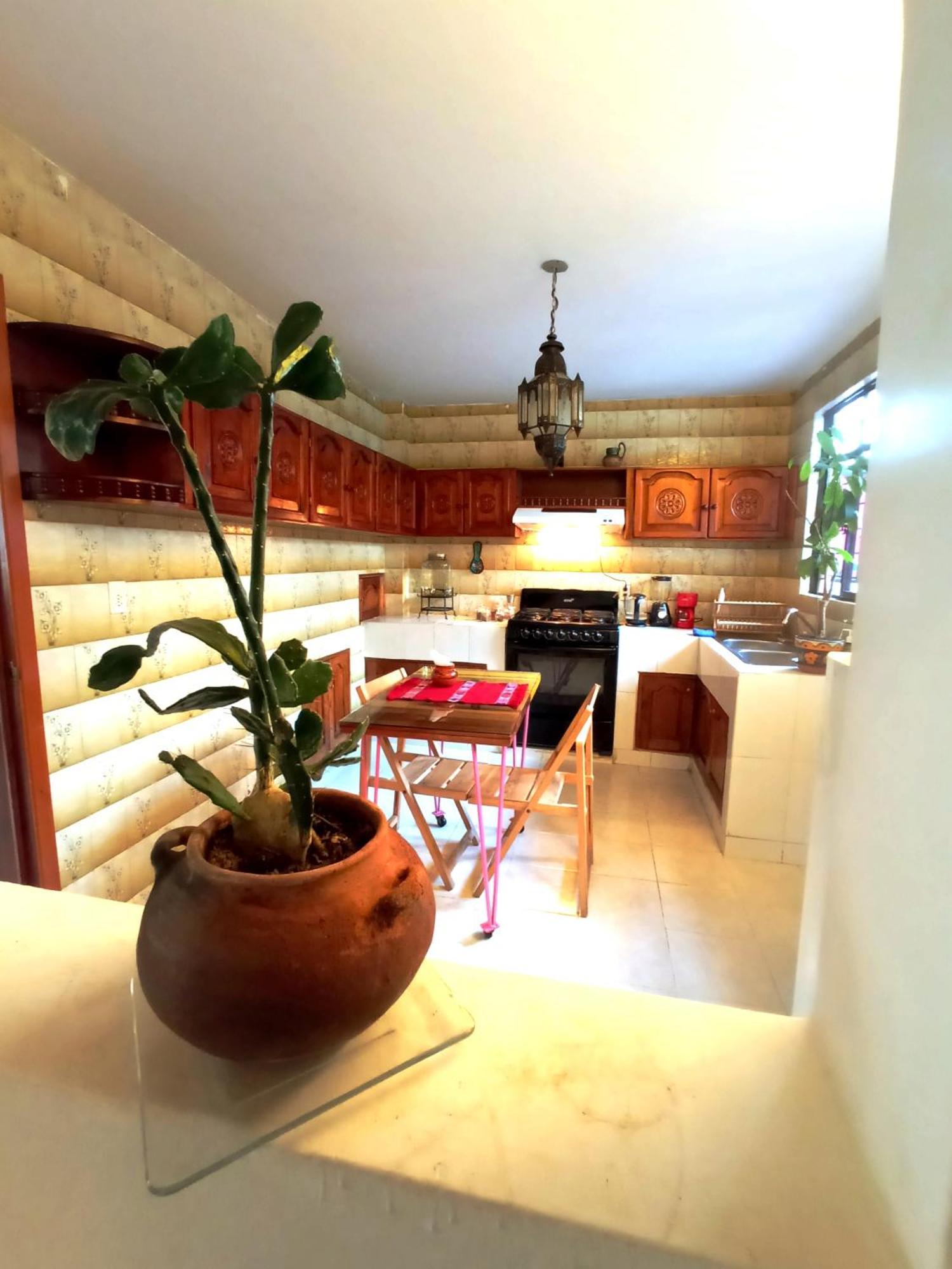 Kaza Muta Bed & Breakfast San Cristobal de las Casas